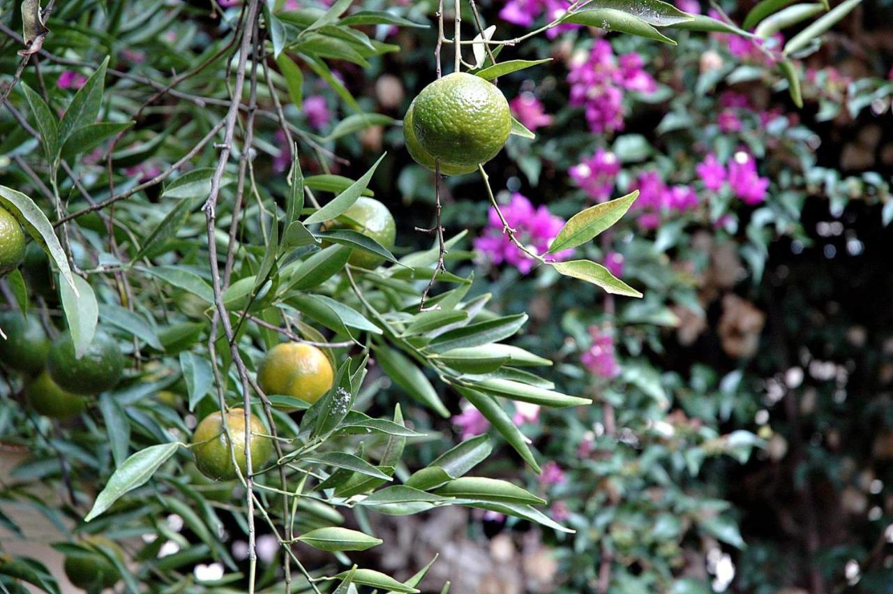 דירות Campobello di Licata Al Vecchio Pozzo מראה חיצוני תמונה